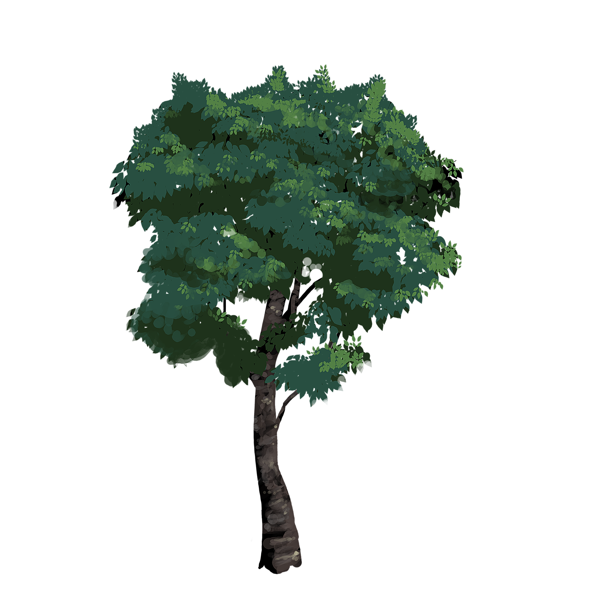 tree01_09.png